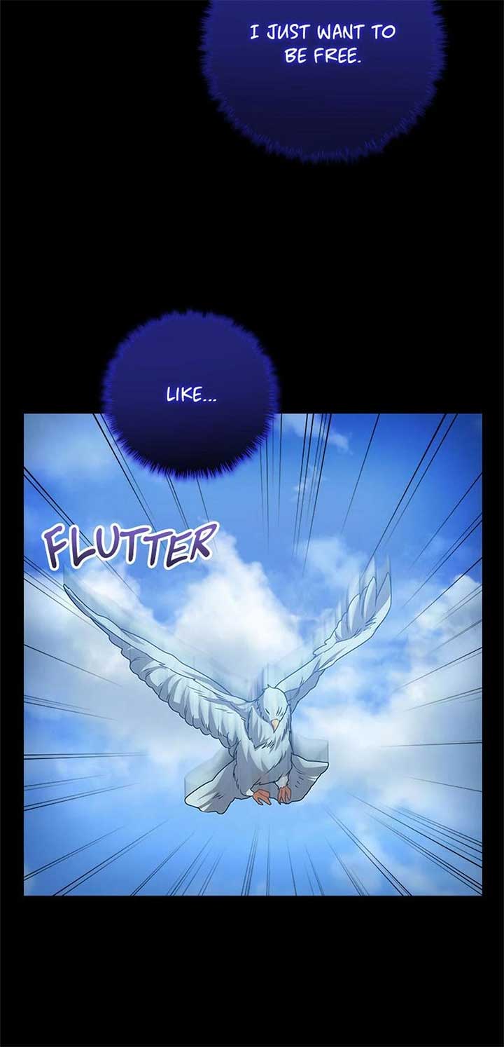 Twin Sister’s Strike Declaration Chapter 96 - Page 42