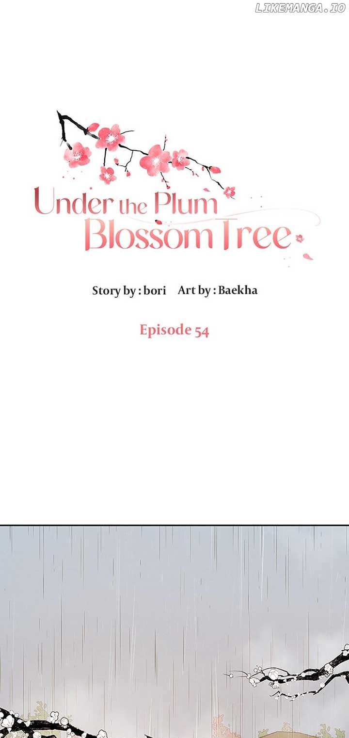 Under the Plum Blossom Tree Chapter 54 - Page 1