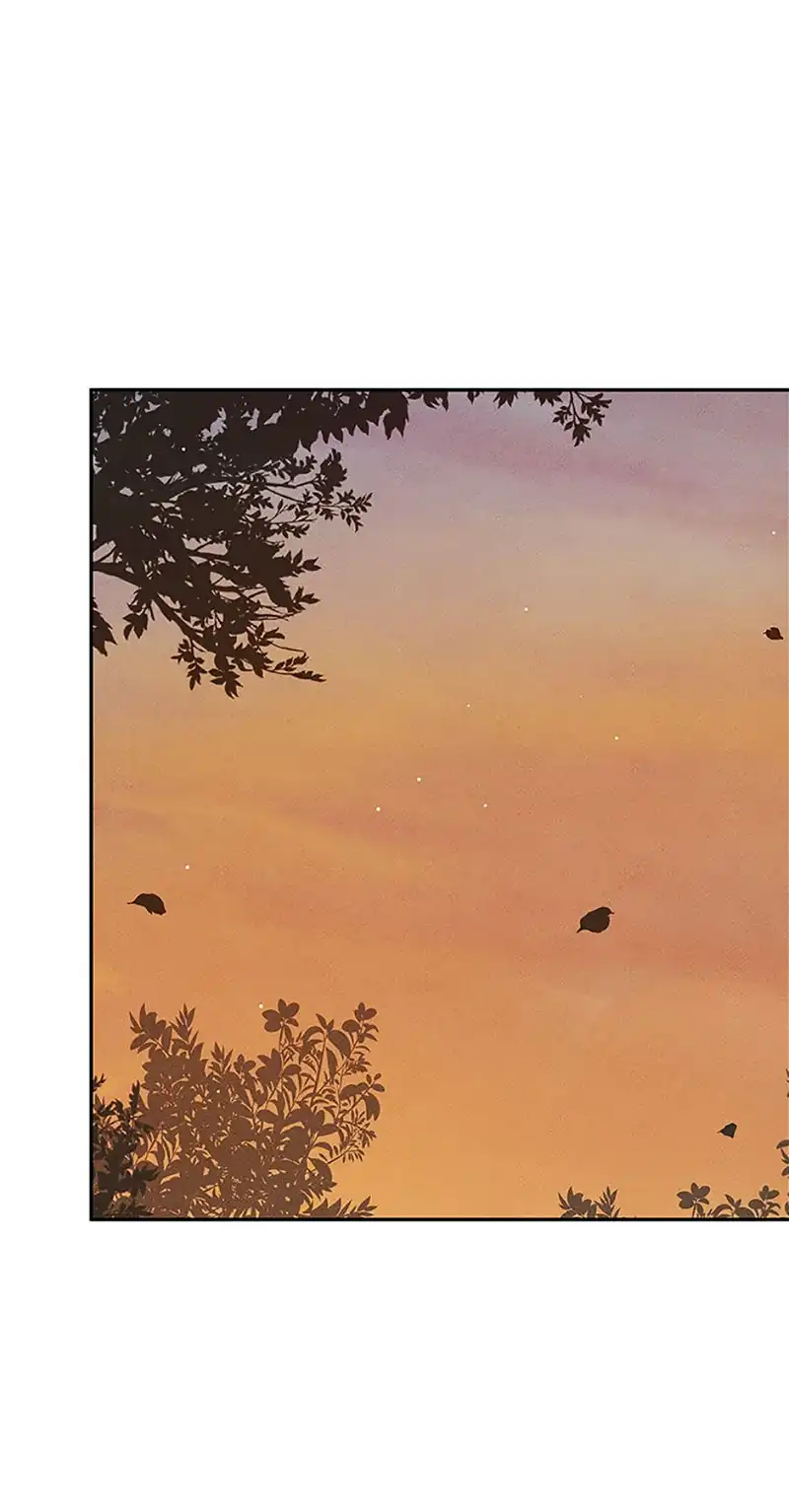 Under the Plum Blossom Tree Chapter 61 - Page 4