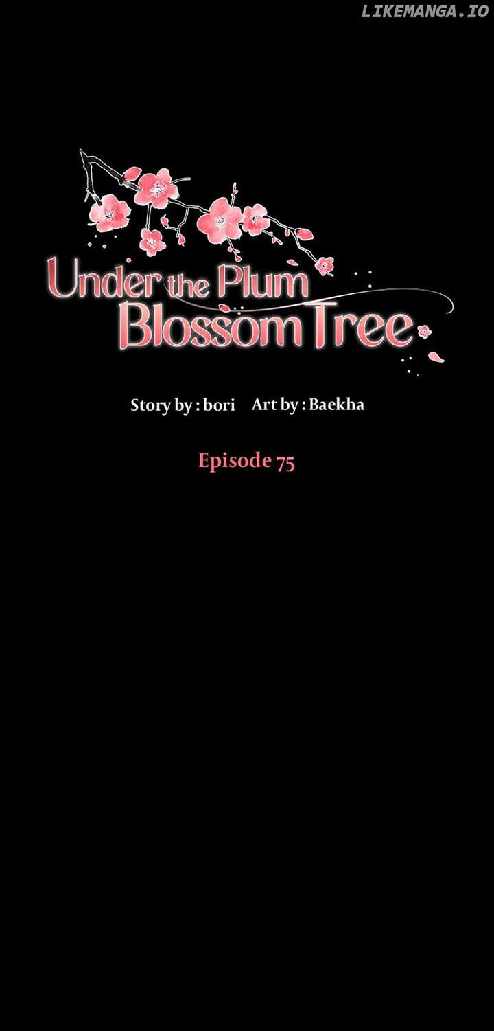 Under the Plum Blossom Tree Chapter 75 - Page 1