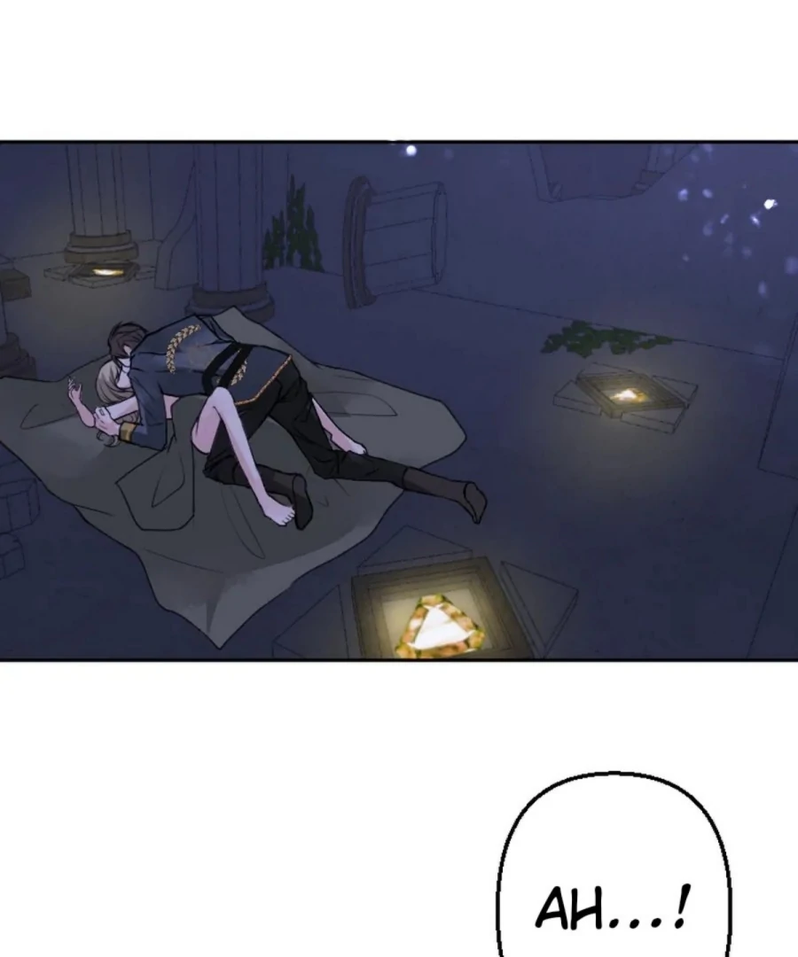 Until the Lustful Consort Bears the Bachelor King’s Child Chapter 1 - Page 3