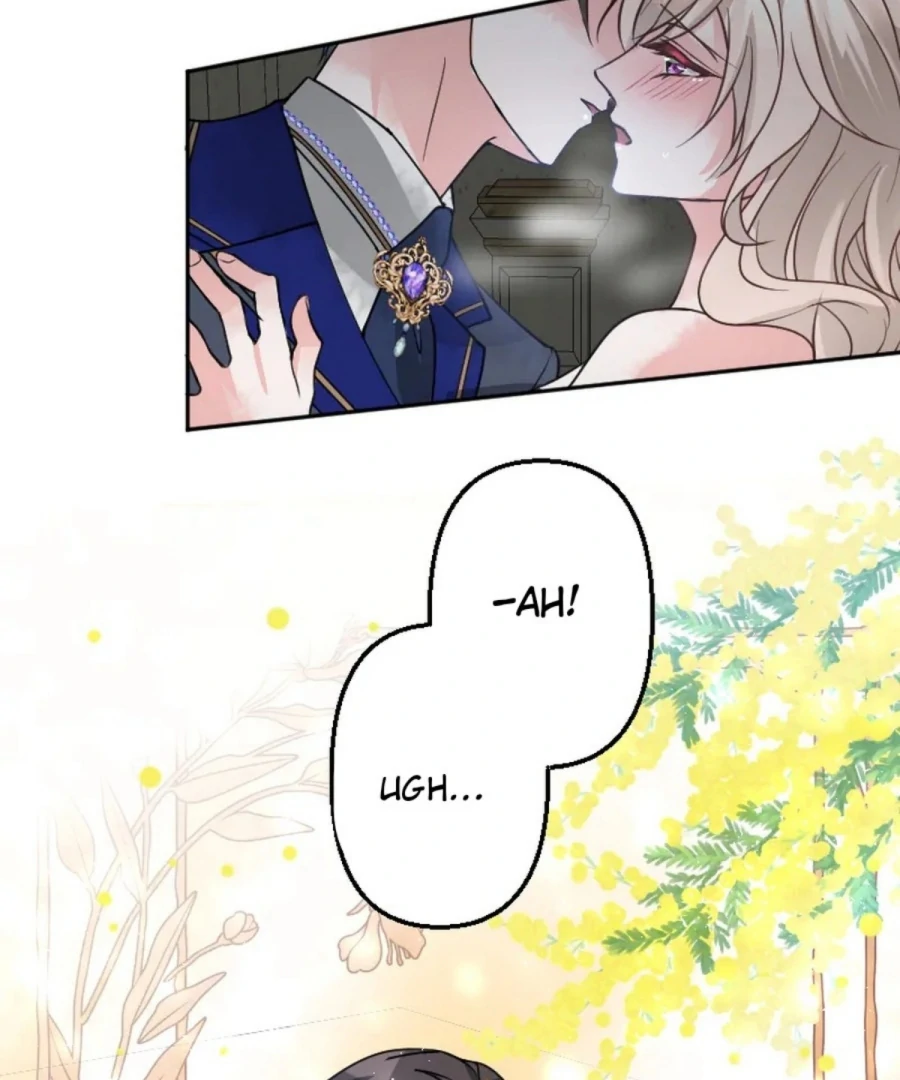 Until the Lustful Consort Bears the Bachelor King’s Child Chapter 2 - Page 2
