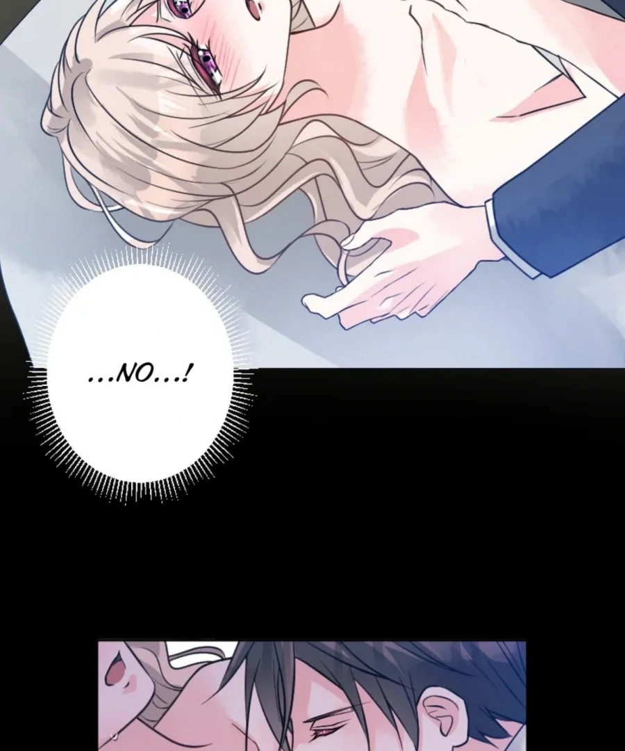 Until the Lustful Consort Bears the Bachelor King’s Child Chapter 2 - Page 9
