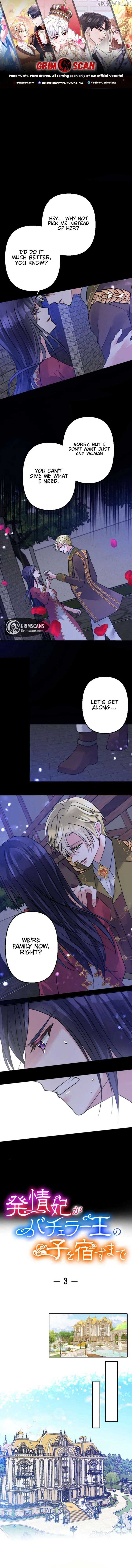 Until the Lustful Consort Bears the Bachelor King’s Child Chapter 3 - Page 0