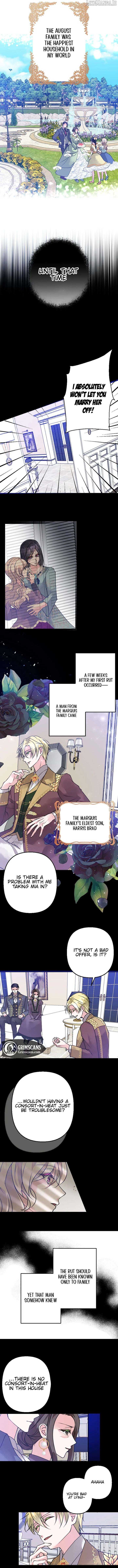 Until the Lustful Consort Bears the Bachelor King’s Child Chapter 3 - Page 3