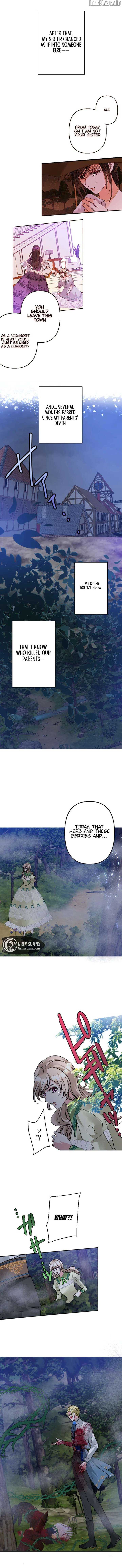 Until the Lustful Consort Bears the Bachelor King’s Child Chapter 3 - Page 7