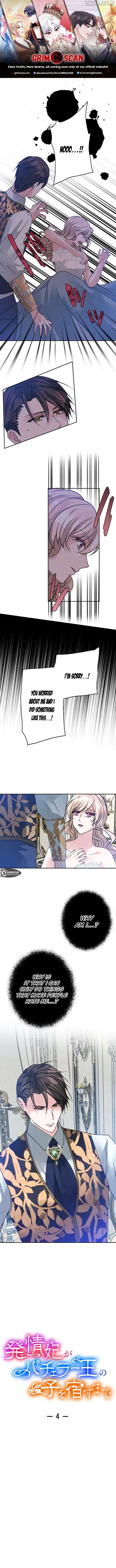 Until the Lustful Consort Bears the Bachelor King’s Child Chapter 4 - Page 0