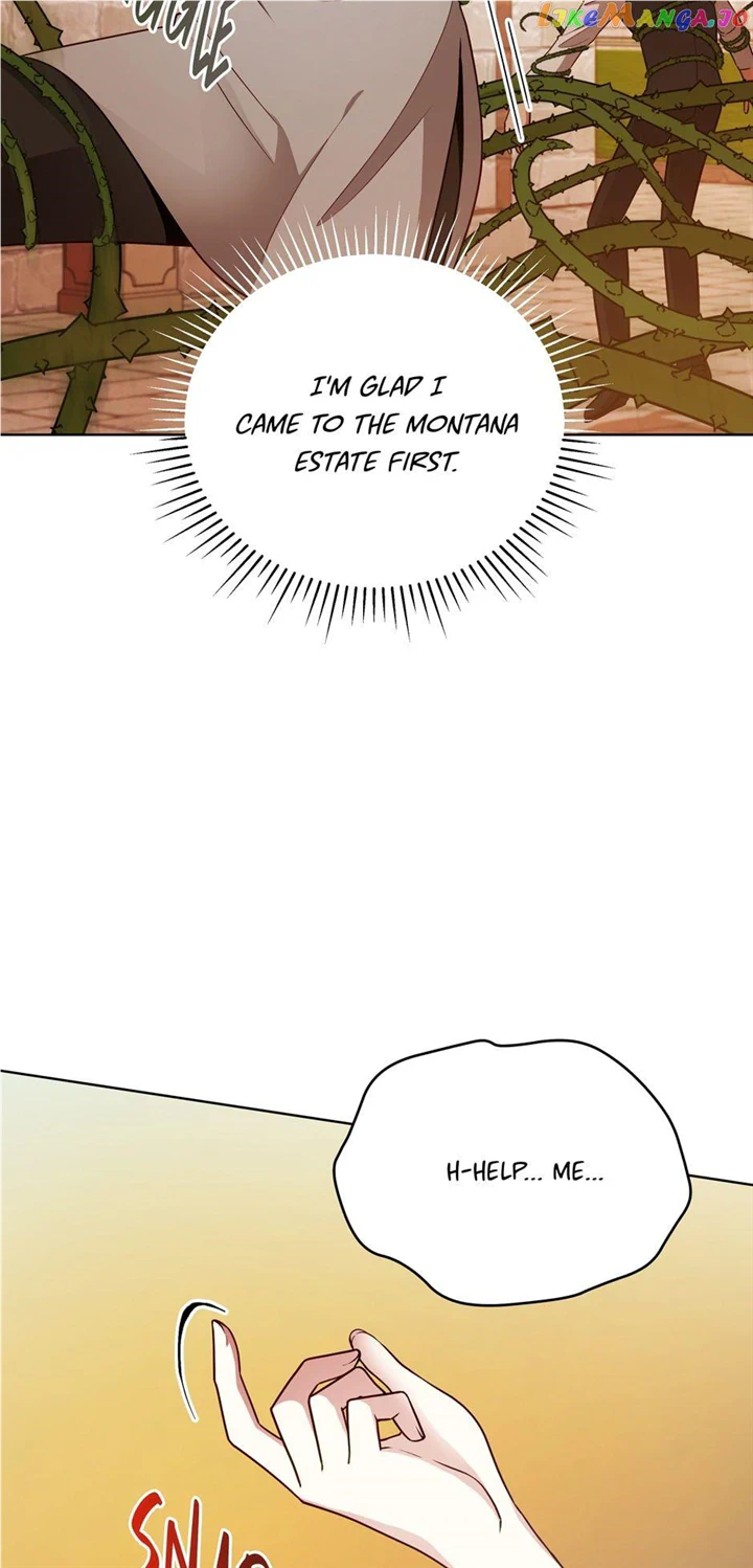 Untouchable Lady Chapter 111 - Page 37