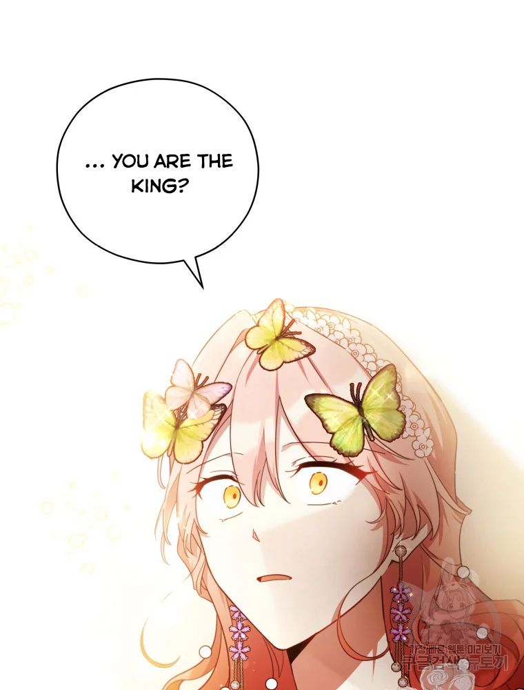 Untouchable Lady Chapter 47 - Page 43