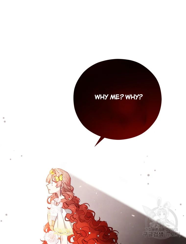 Untouchable Lady Chapter 47 - Page 73