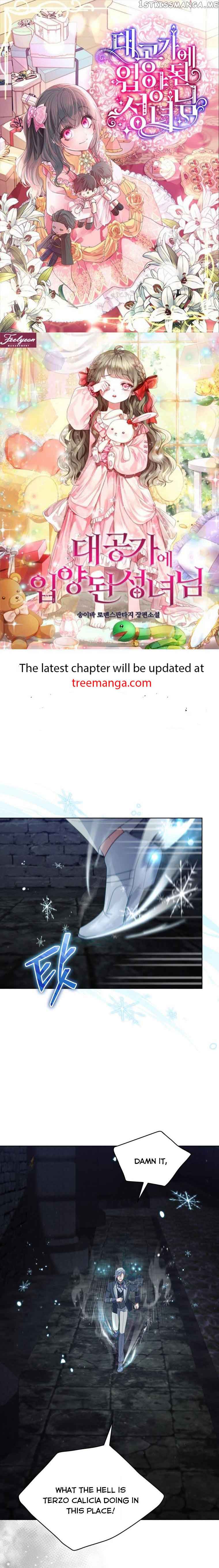 Untouchable Lady Chapter 96 - Page 0