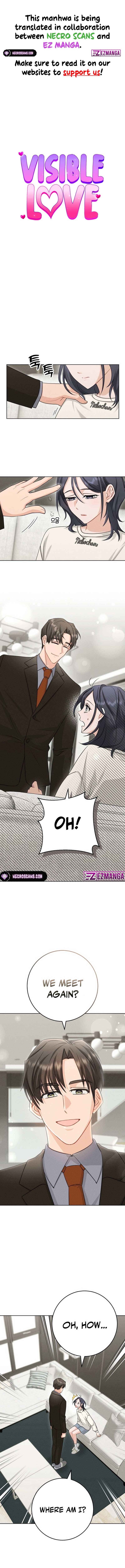 Visible Love Chapter 2 - Page 0