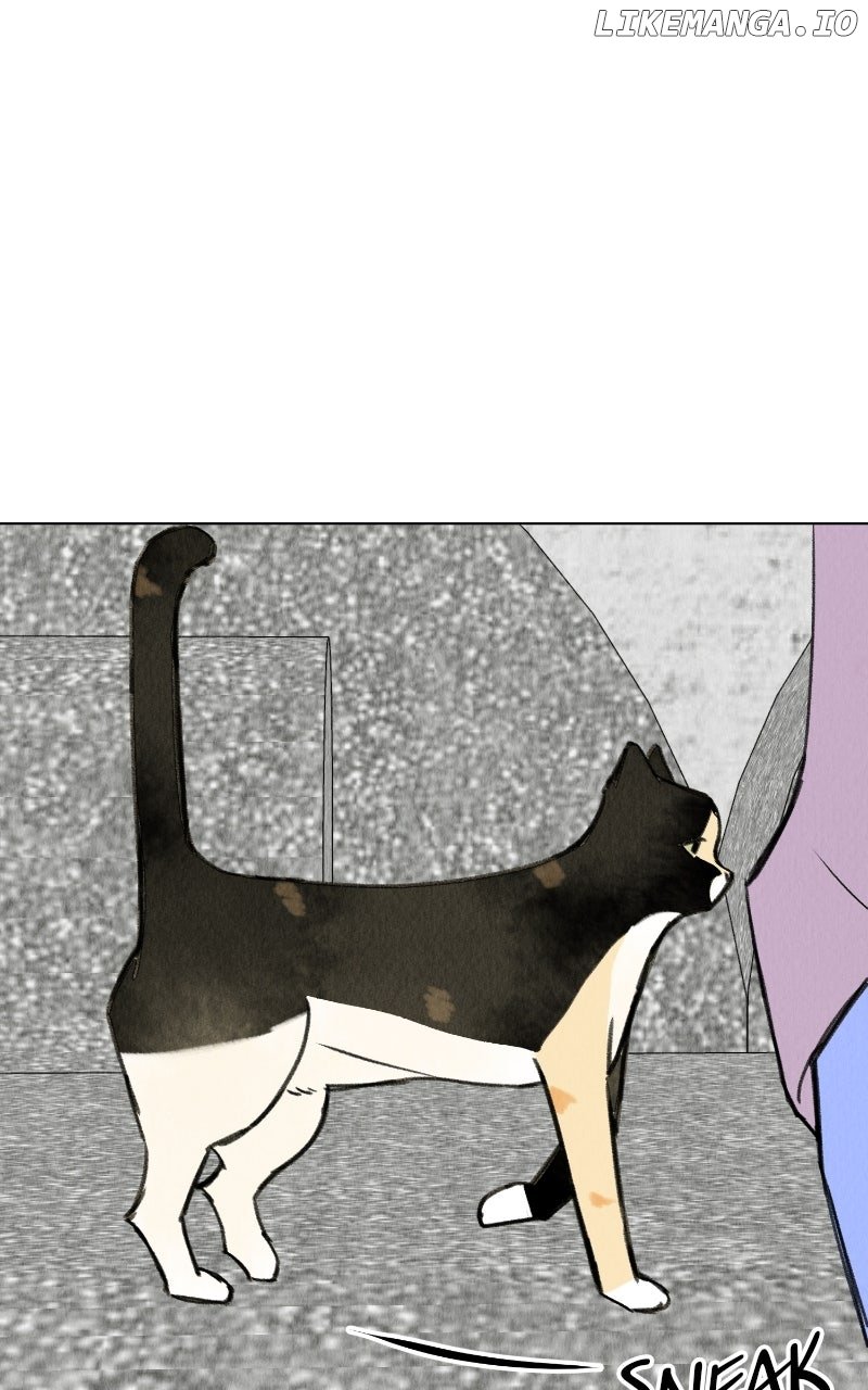 Want to See My Cat? Chapter 68 - Page 25