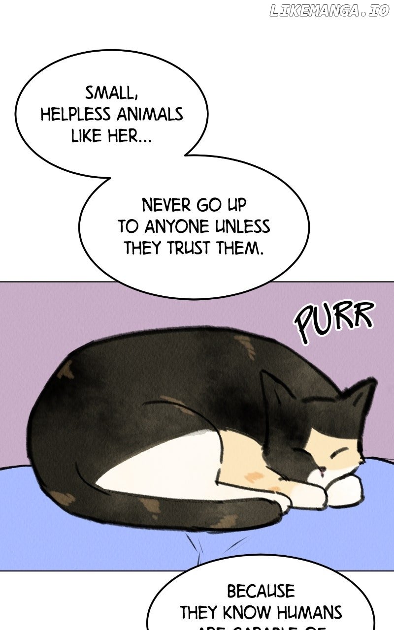 Want to See My Cat? Chapter 68 - Page 30
