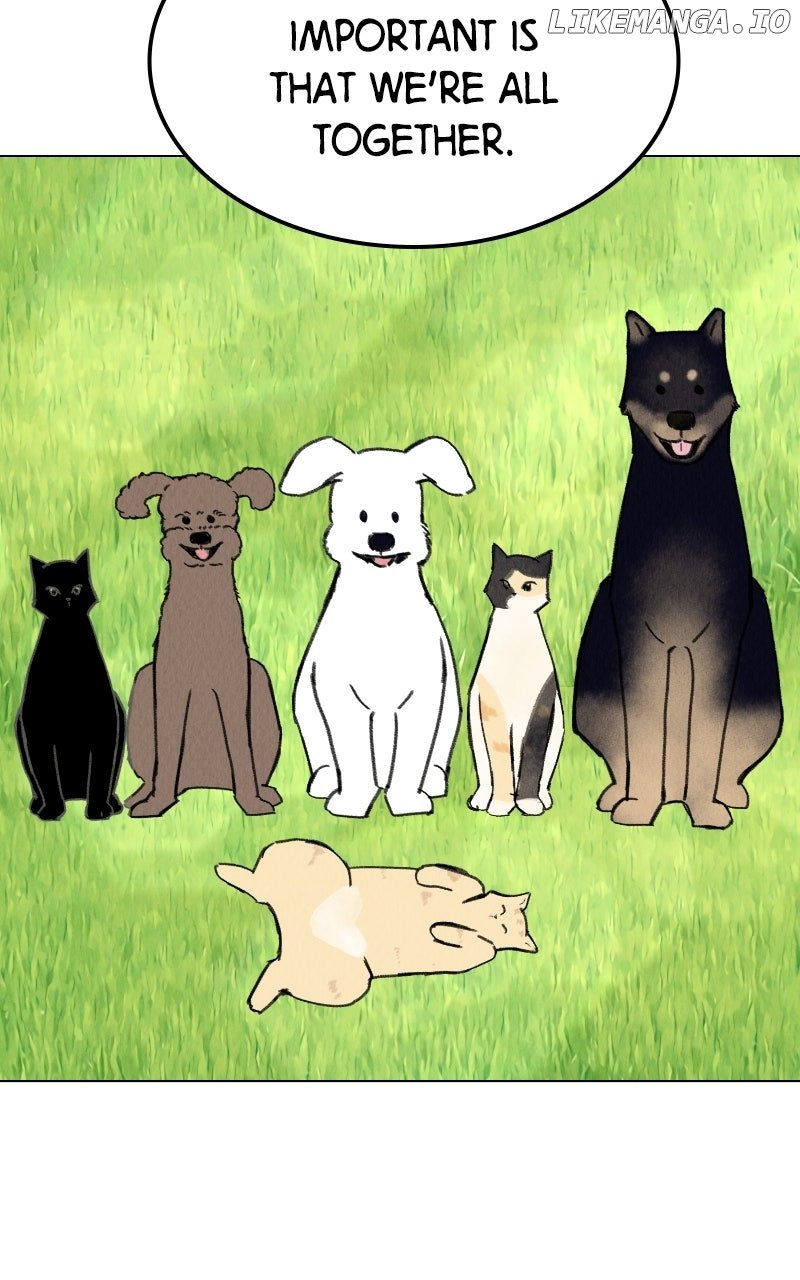 Want to See My Cat? Chapter 69 - Page 41