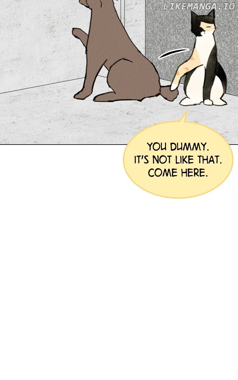 Want to See My Cat? Chapter 69 - Page 62