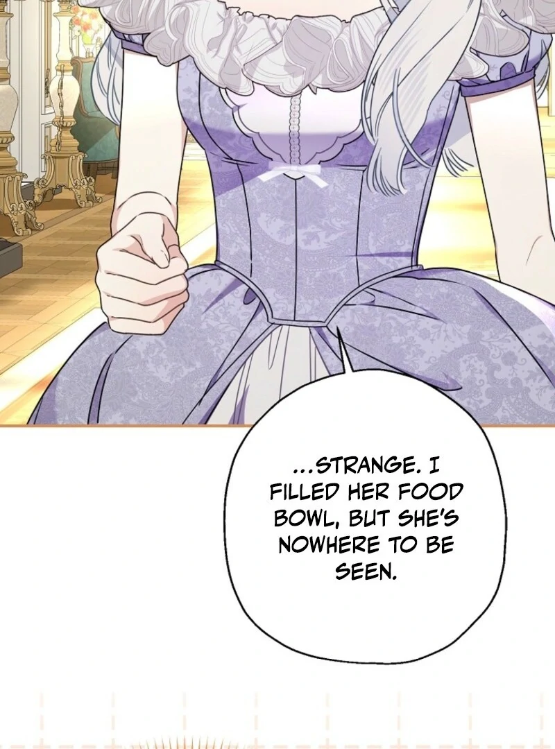 When the Count’s Illegitimate Daughter Gets Married Chapter 112 - Page 47