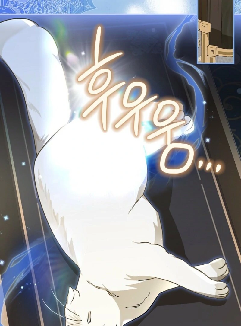 When the Count’s Illegitimate Daughter Gets Married Chapter 112 - Page 61