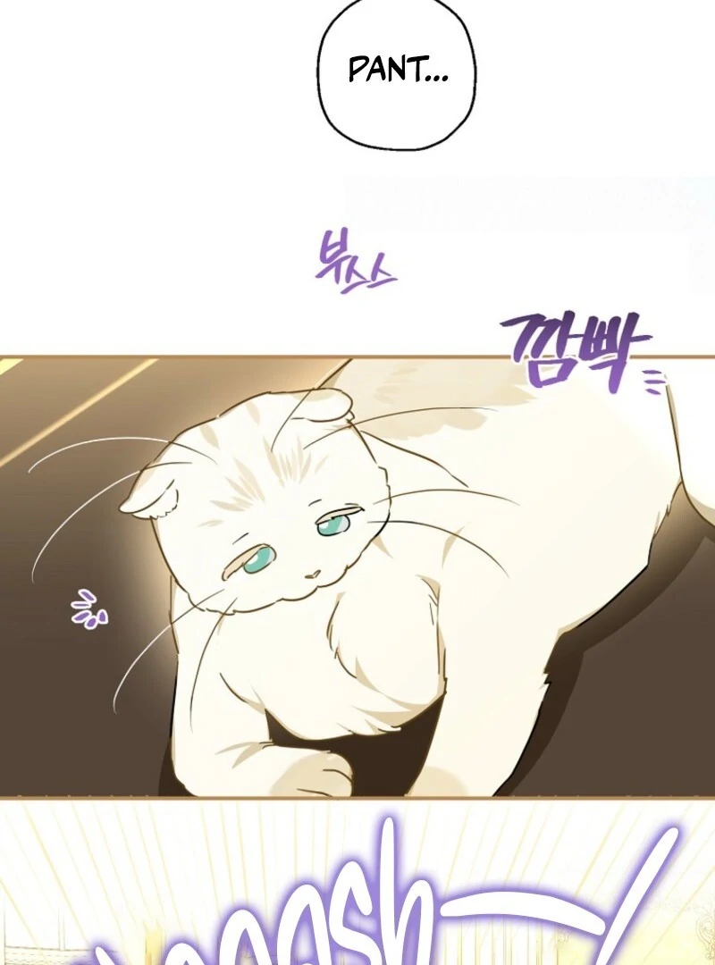 When the Count’s Illegitimate Daughter Gets Married Chapter 112 - Page 64