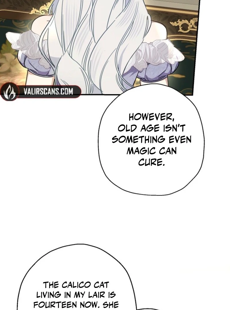 When the Count’s Illegitimate Daughter Gets Married Chapter 112 - Page 68