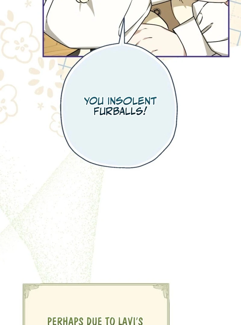 When the Count’s Illegitimate Daughter Gets Married Chapter 114 - Page 19