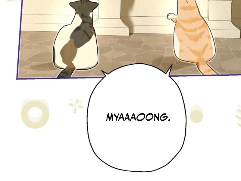 When the Count’s Illegitimate Daughter Gets Married Chapter 114 - Page 24
