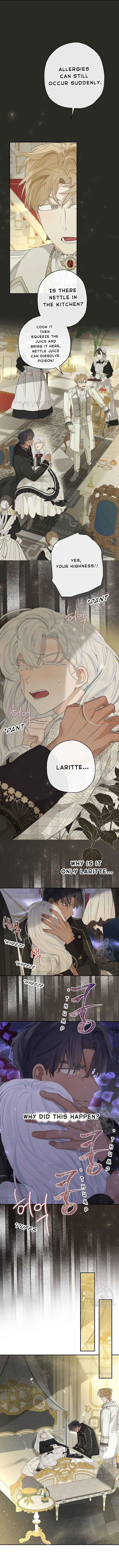 When the Count’s Illegitimate Daughter Gets Married Chapter 64 - Page 6