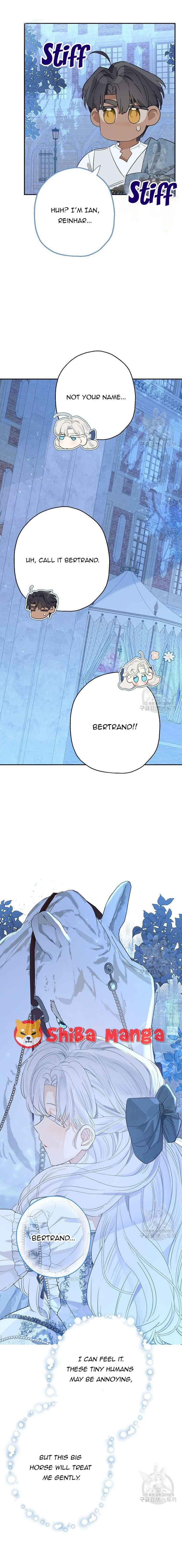 When the Count’s Illegitimate Daughter Gets Married Chapter 67 - Page 8