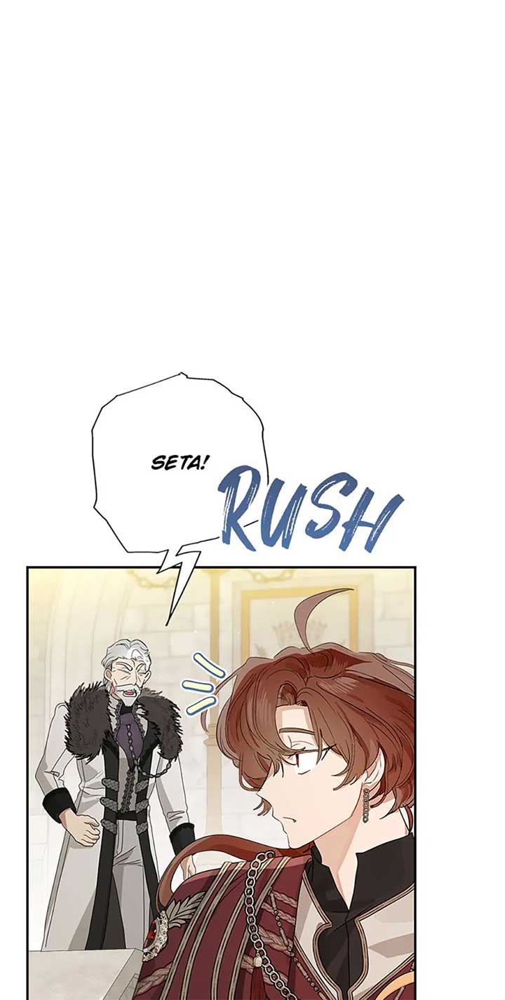 When the Count’s Illegitimate Daughter Gets Married Chapter 68 - Page 47