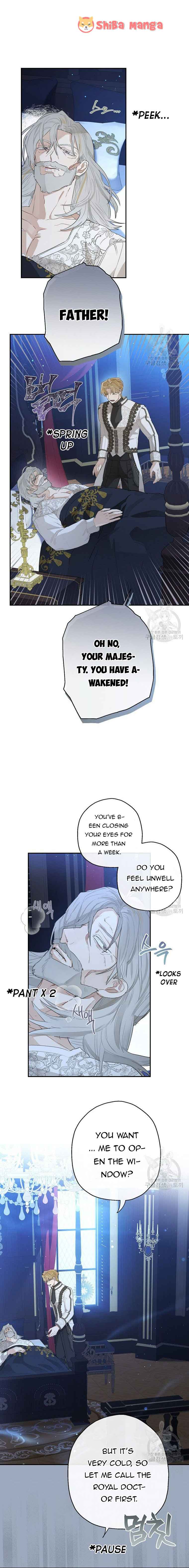 When the Count’s Illegitimate Daughter Gets Married Chapter 71 - Page 3