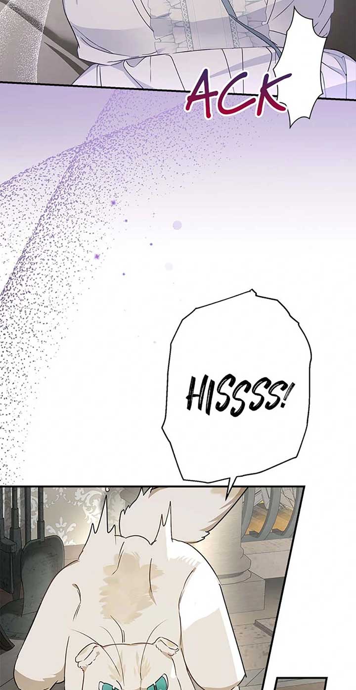 When the Count’s Illegitimate Daughter Gets Married Chapter 95 - Page 55