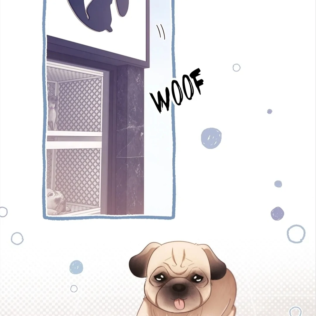 White Moon He Made a Move On Me Chapter 49 - Page 81