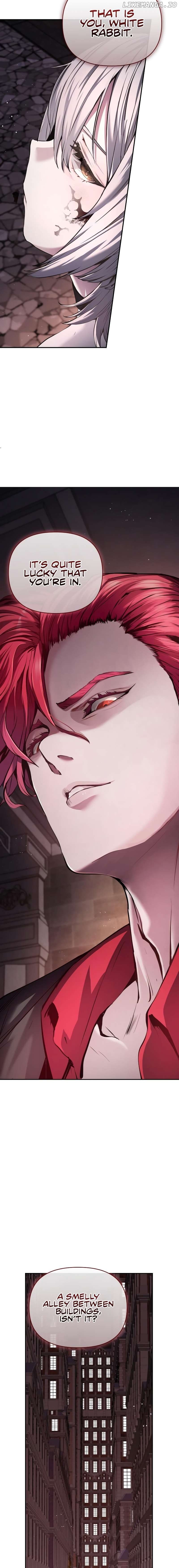 White Rabbit in Wonderland Chapter 2 - Page 2