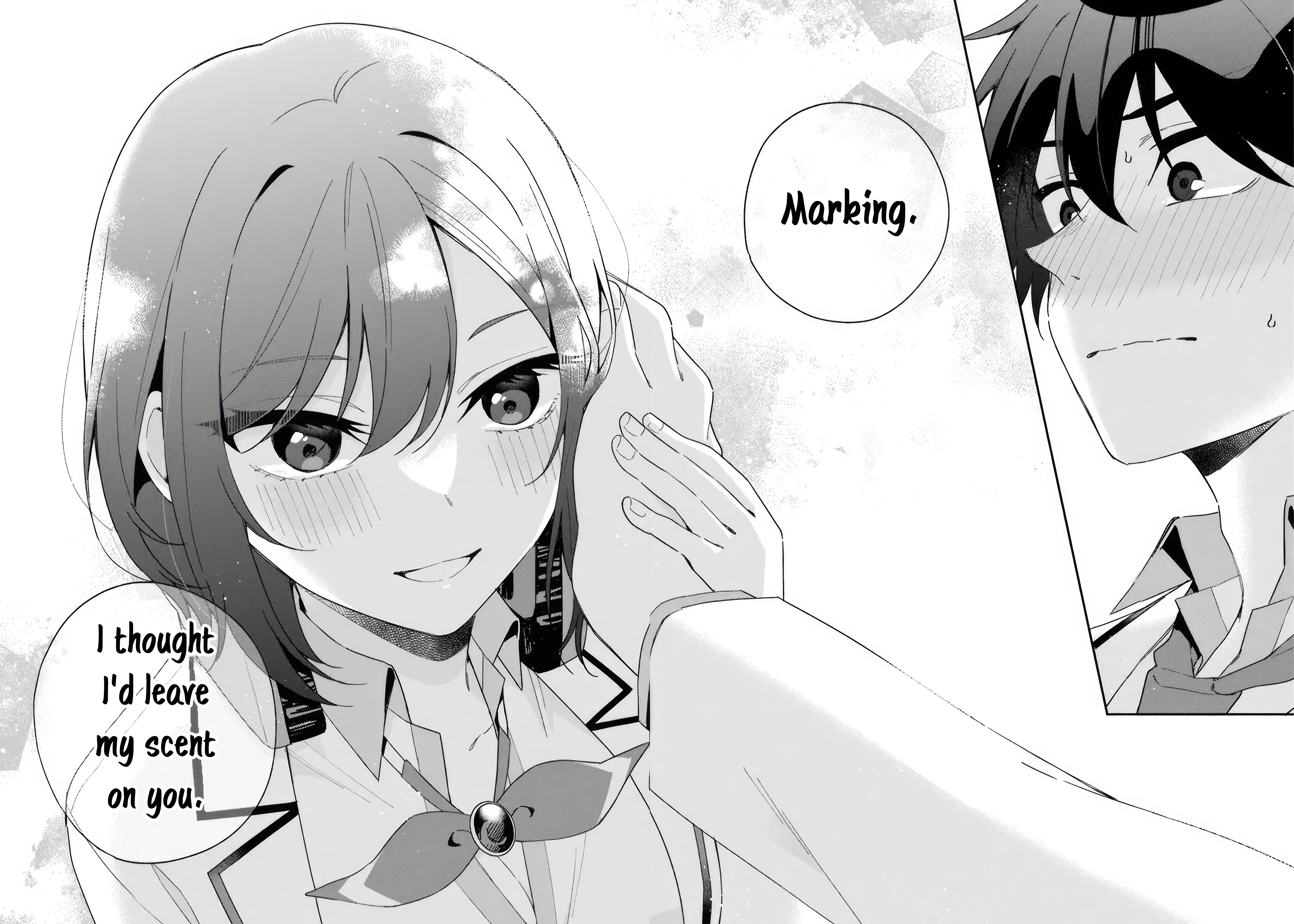 Why Don’t You Make the Twins Your “Girlfriend” Together? Chapter 1 - Page 34