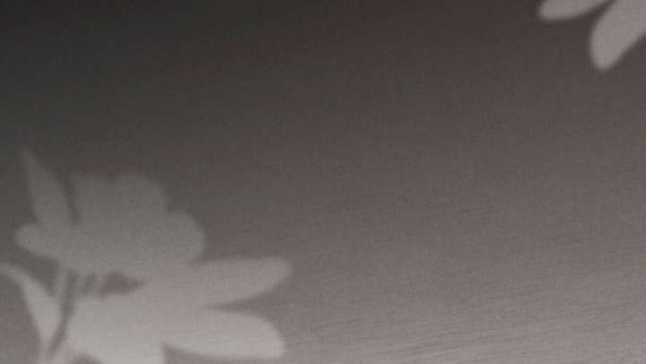 Wild Night Chapter 78 - Page 28