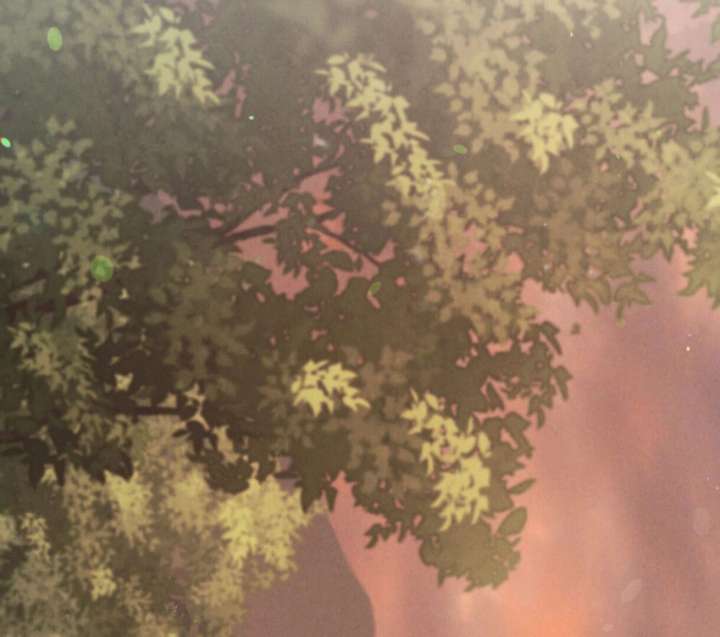 Wild Night Chapter 78 - Page 59