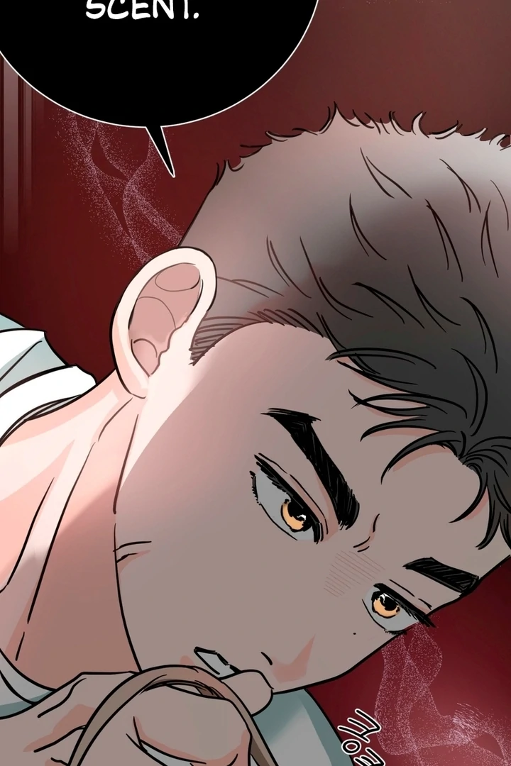 Wolves Are Dangerous! Chapter 1 - Page 111