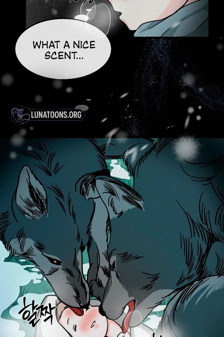 Wolves Are Dangerous! Chapter 1 - Page 30