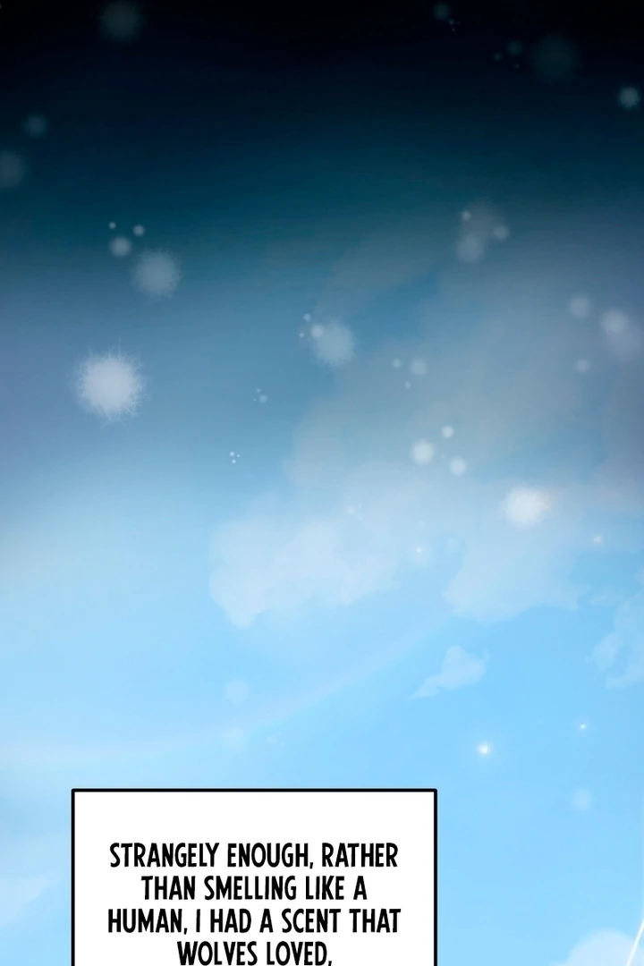 Wolves Are Dangerous! Chapter 1 - Page 32