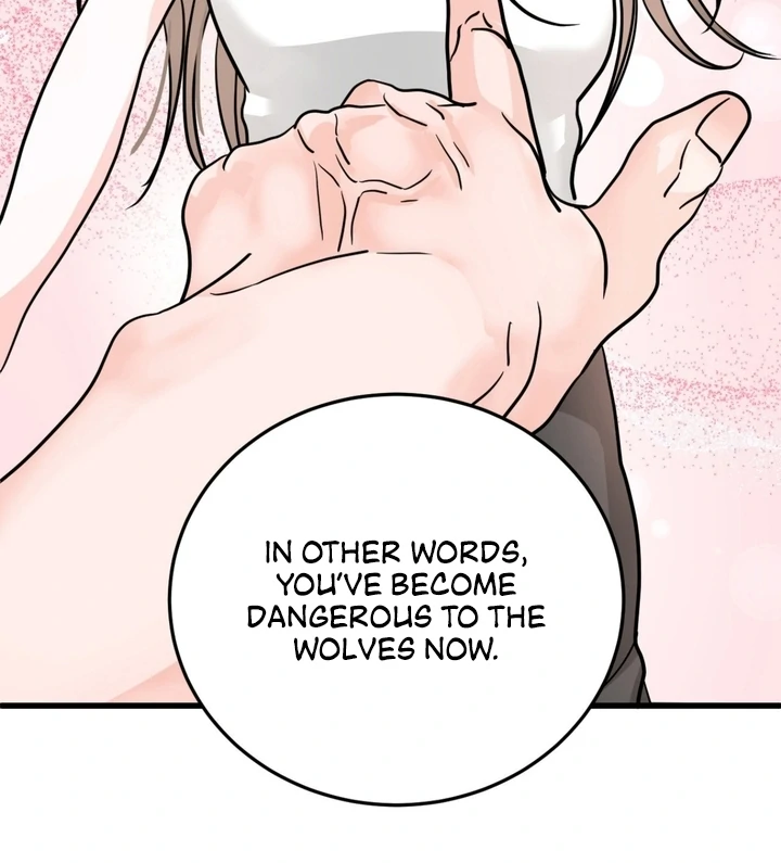 Wolves Are Dangerous! Chapter 2 - Page 26