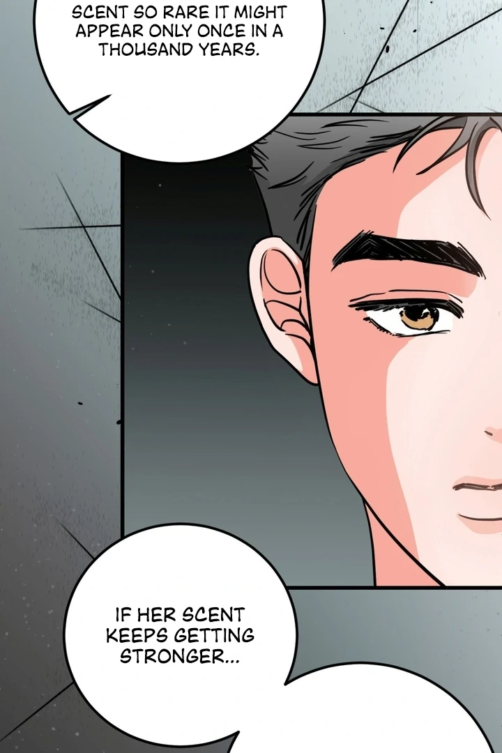 Wolves Are Dangerous! Chapter 2 - Page 8