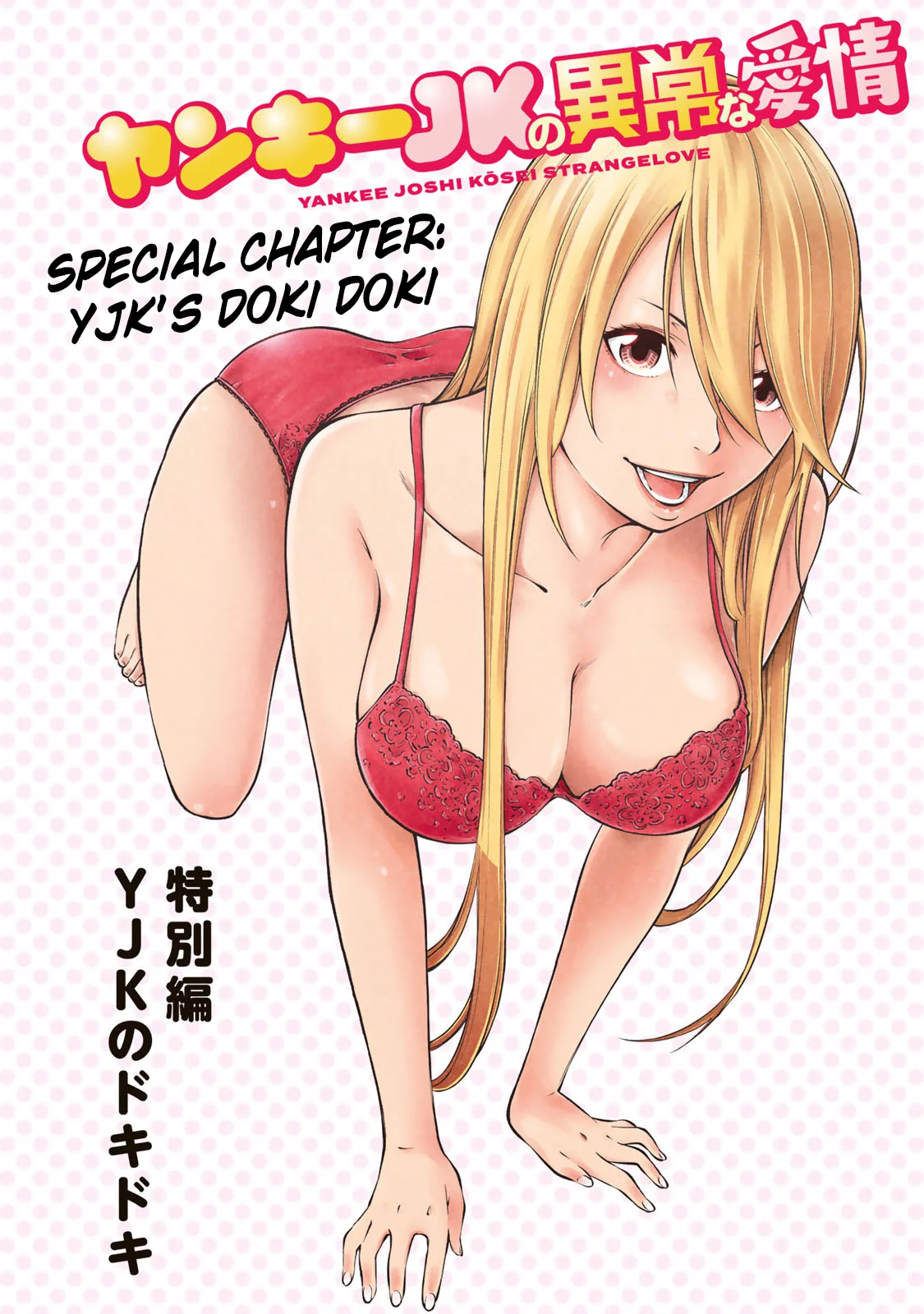 Yankee JK no Ijou na Aijou Chapter 6.5 - Page 3