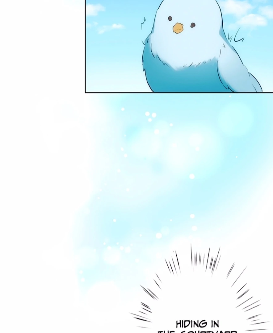 Your Majesty the King, I Will Educate You Chapter 14 - Page 65