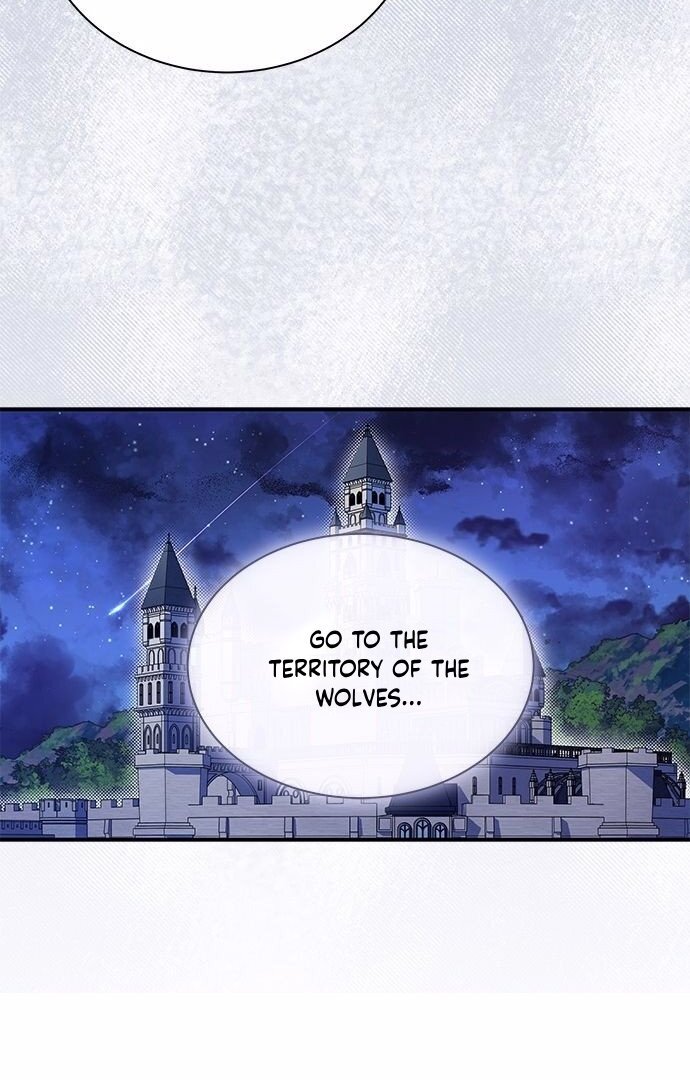 You’re a Cat, but You’ve Been Adopted by a Wolf Family? Chapter 1 - Page 26