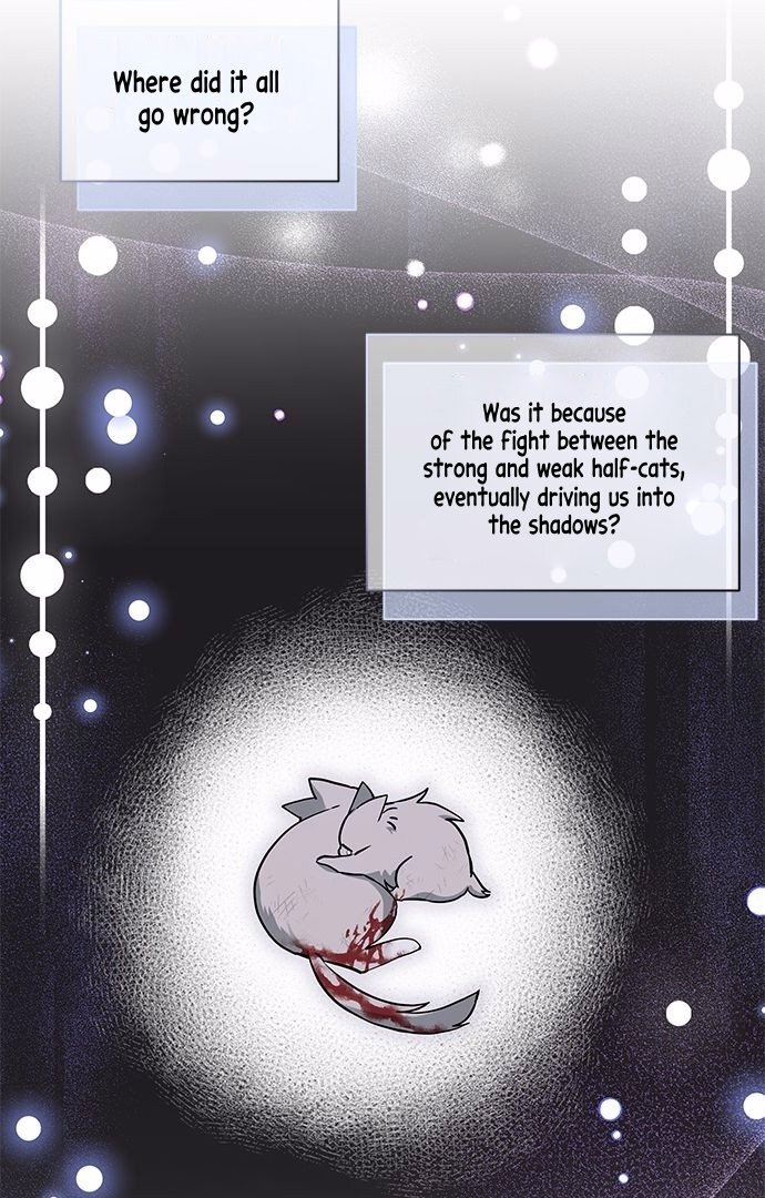 You’re a Cat, but You’ve Been Adopted by a Wolf Family? Chapter 1 - Page 35