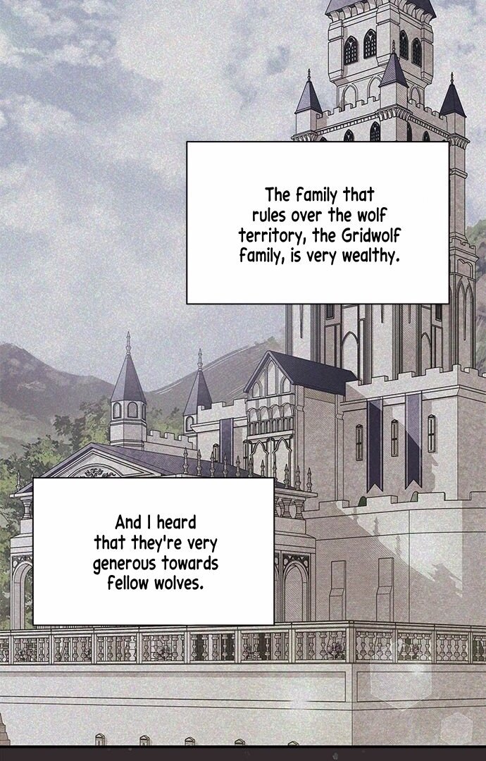 You’re a Cat, but You’ve Been Adopted by a Wolf Family? Chapter 1 - Page 60