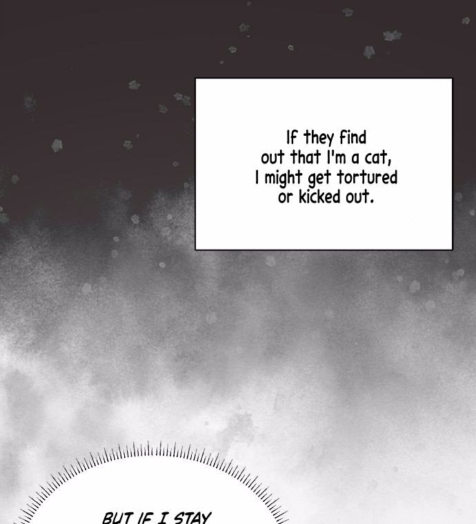 You’re a Cat, but You’ve Been Adopted by a Wolf Family? Chapter 1 - Page 61