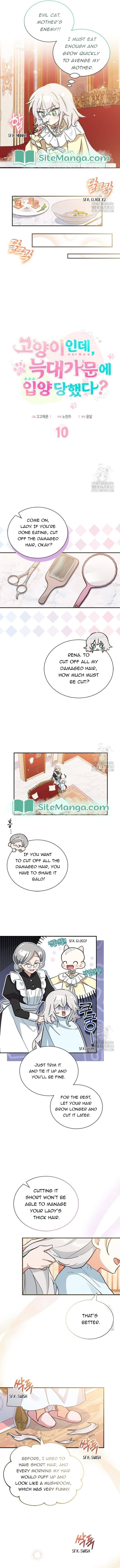 You’re a Cat, but You’ve Been Adopted by a Wolf Family? Chapter 10 - Page 2