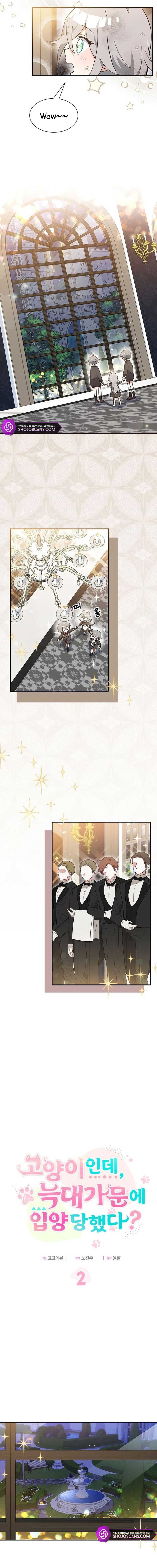 You’re a Cat, but You’ve Been Adopted by a Wolf Family? Chapter 2 - Page 3