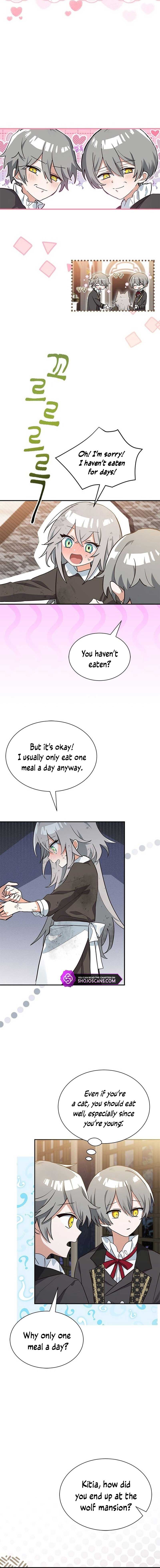 You’re a Cat, but You’ve Been Adopted by a Wolf Family? Chapter 2 - Page 5